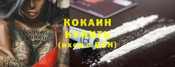 стафф Няндома