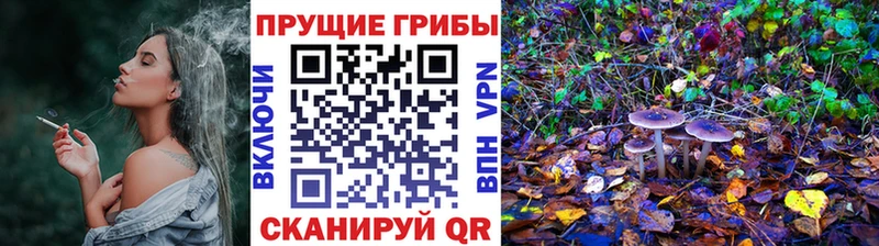 Псилоцибиновые грибы Magic Shrooms  даркнет состав  Мантурово 